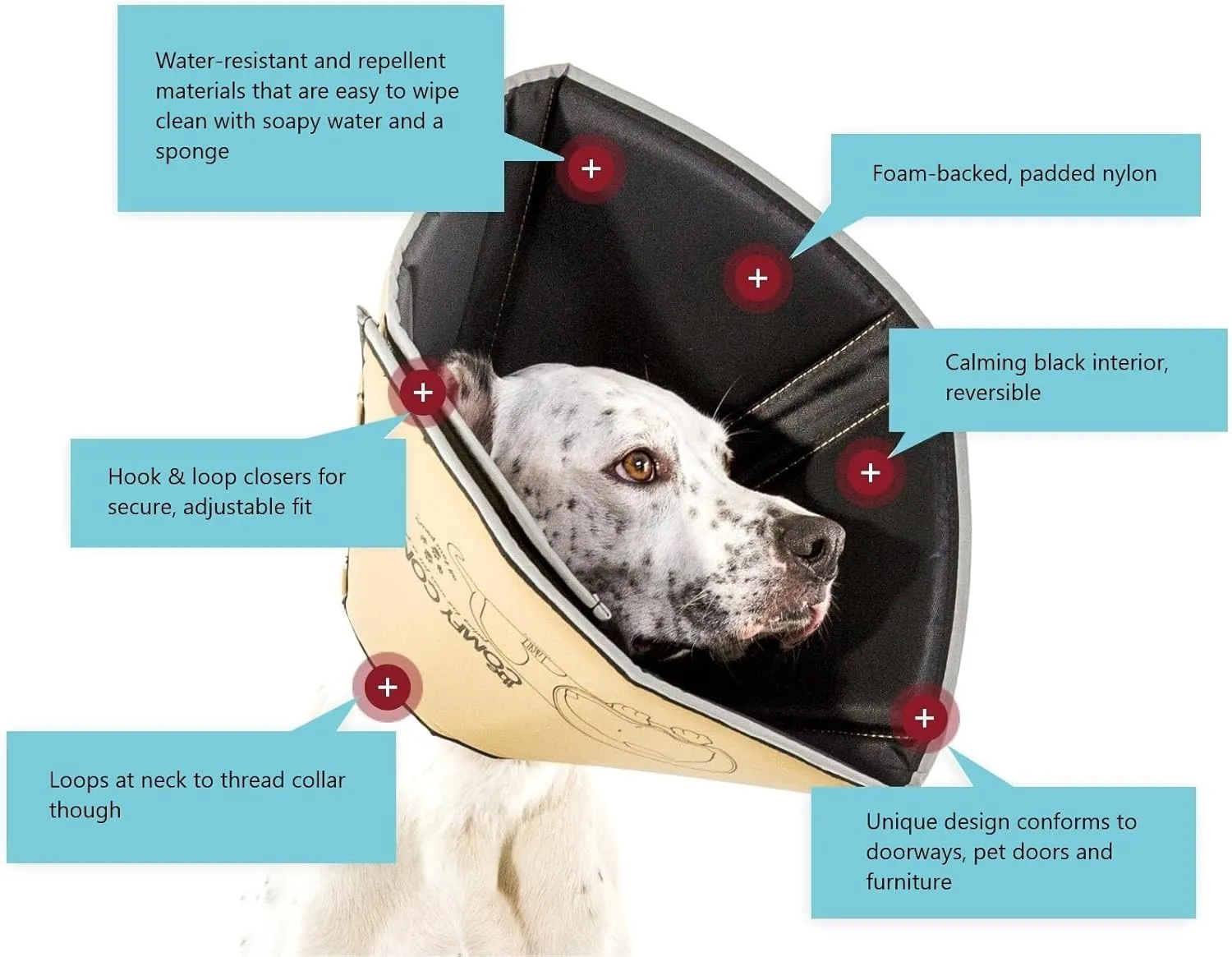  - SpayNeuter - 