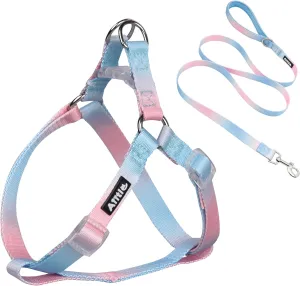AIITLE No Pull Small Dog Harness and Leash Set- Escape Proof/Quick Fit Dog Halter Harness,Easy for Training Walking- Sturdy Buckle and Double D Ring- Puppy Harness for Small Dogs,Blue-Pink Gradient S