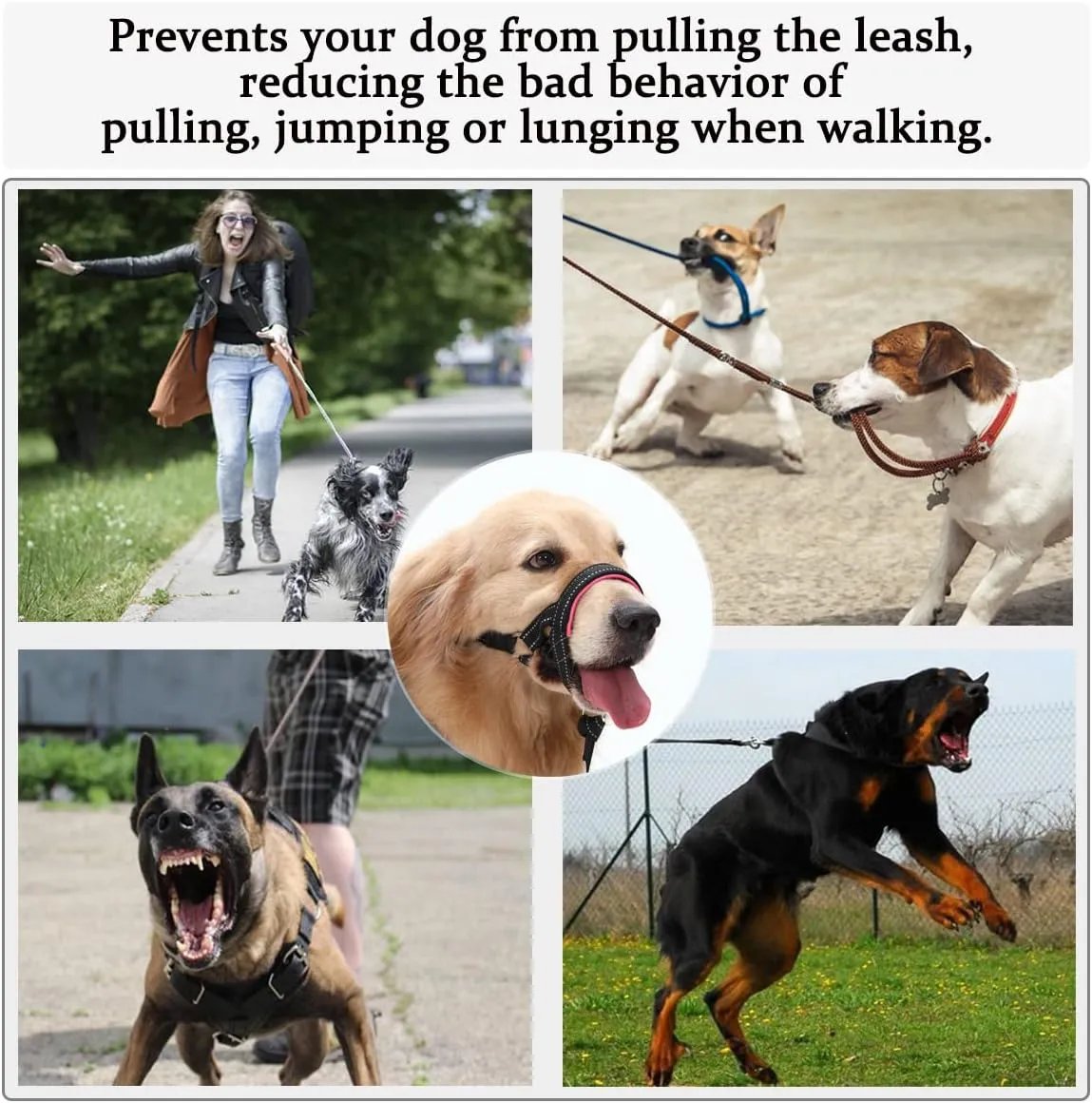 BARKLESS ,,,,,