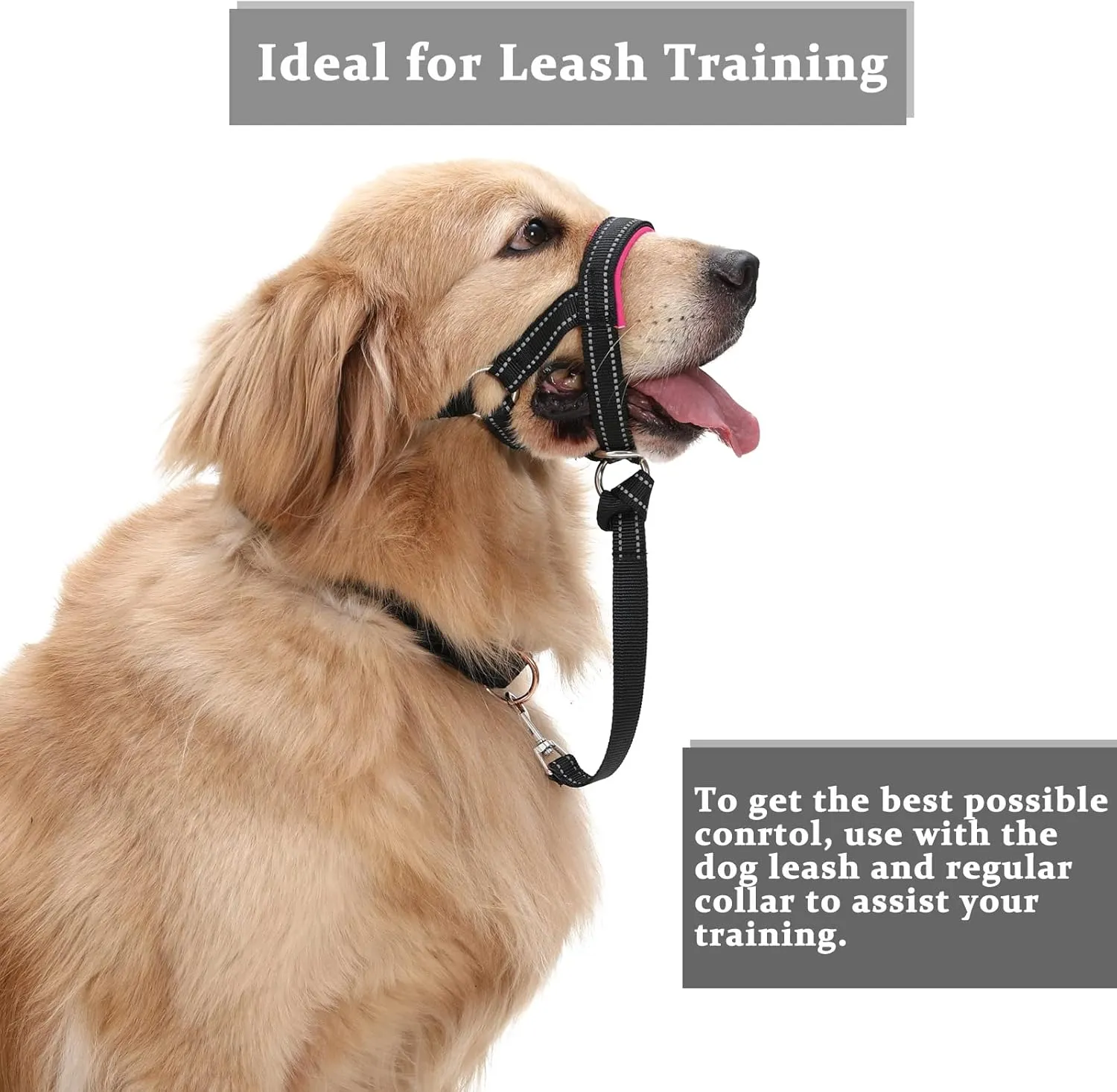 BARKLESS ,,,,,