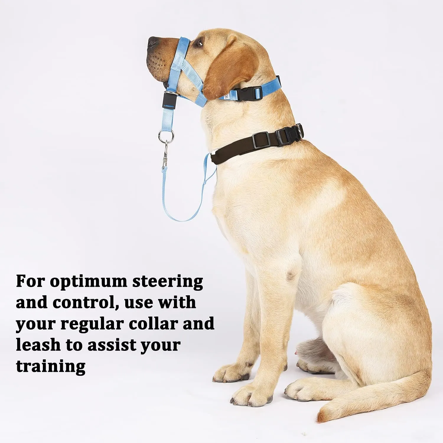 BARKLESS No-Pull Head Collar for Dogs Training & Walking Made Easy, Soft, Adjustable Dog Halter Harness with Safety Link- Put an End to Pulling on The Leash