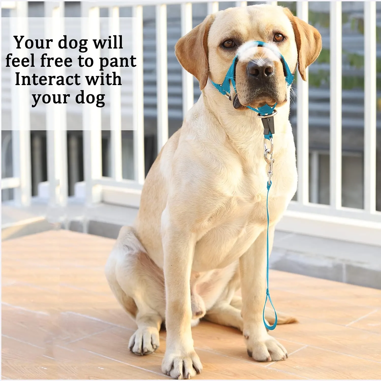 BARKLESS No-Pull Head Collar for Dogs Training & Walking Made Easy, Soft, Adjustable Dog Halter Harness with Safety Link- Put an End to Pulling on The Leash