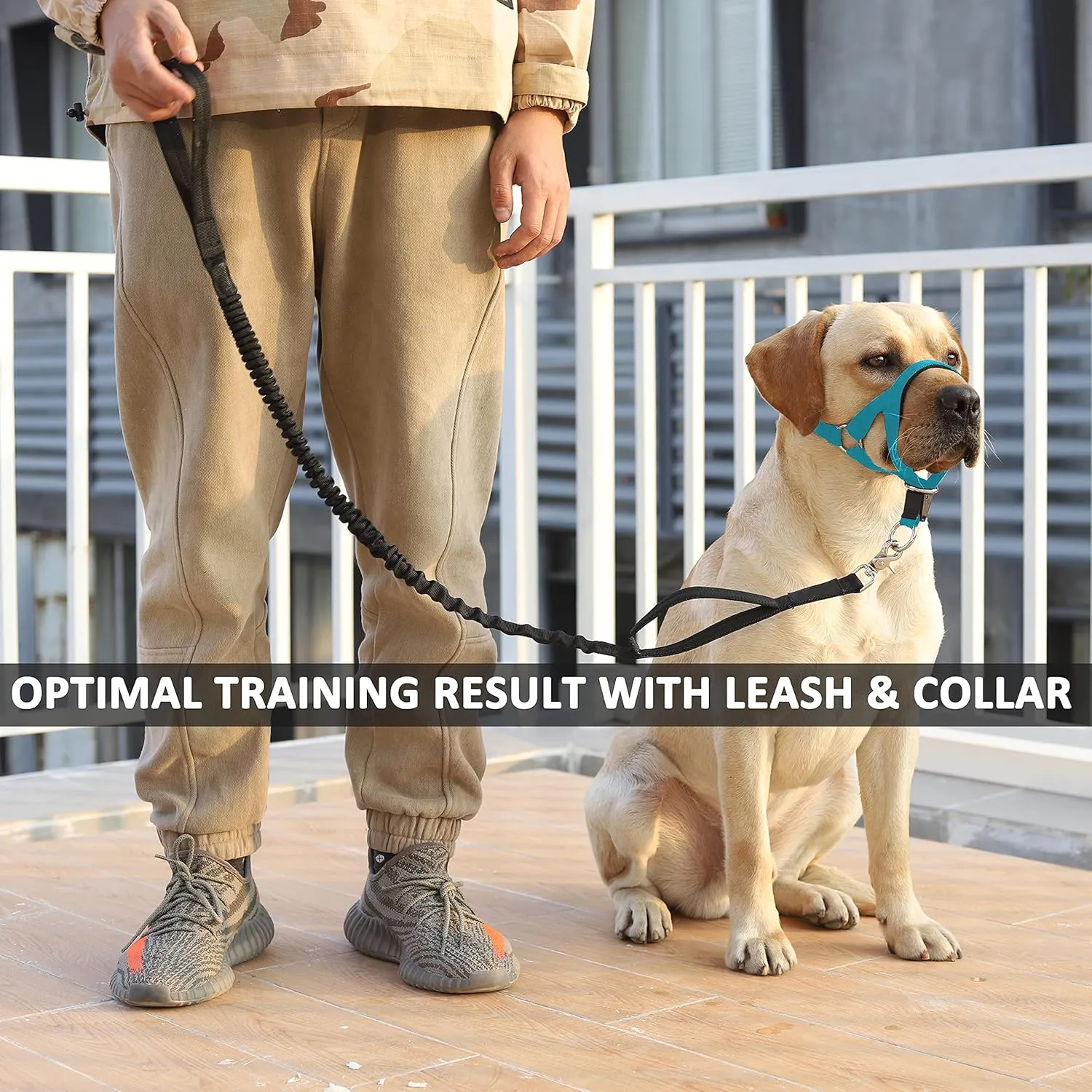 BARKLESS No-Pull Head Collar for Dogs Training & Walking Made Easy, Soft, Adjustable Dog Halter Harness with Safety Link- Put an End to Pulling on The Leash