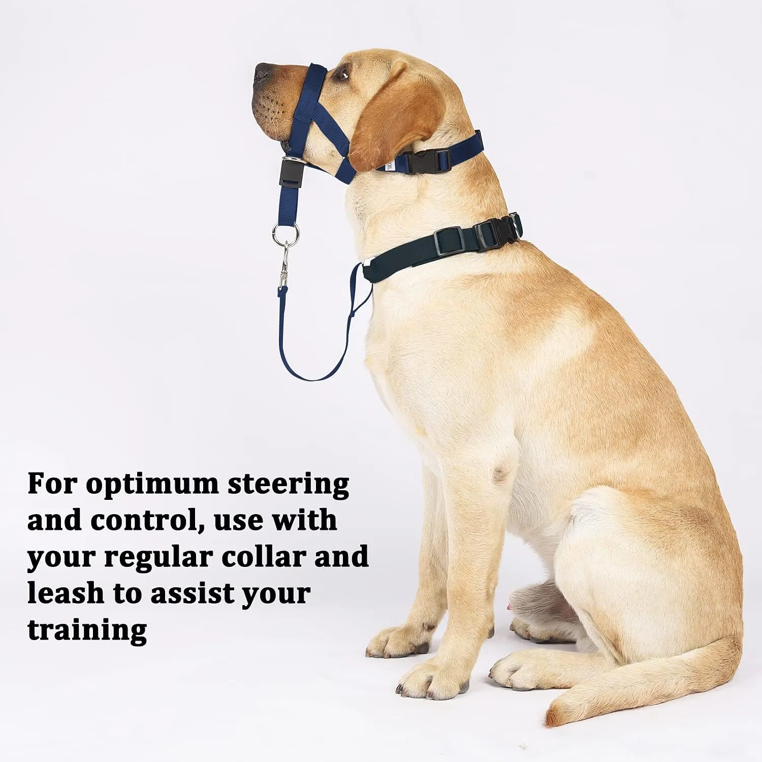 BARKLESS No-Pull Head Collar for Dogs Training & Walking Made Easy, Soft, Adjustable Dog Halter Harness with Safety Link- Put an End to Pulling on The Leash