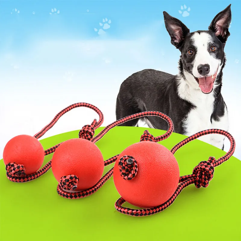 Bite resistant rubber ball with rope solid elastic