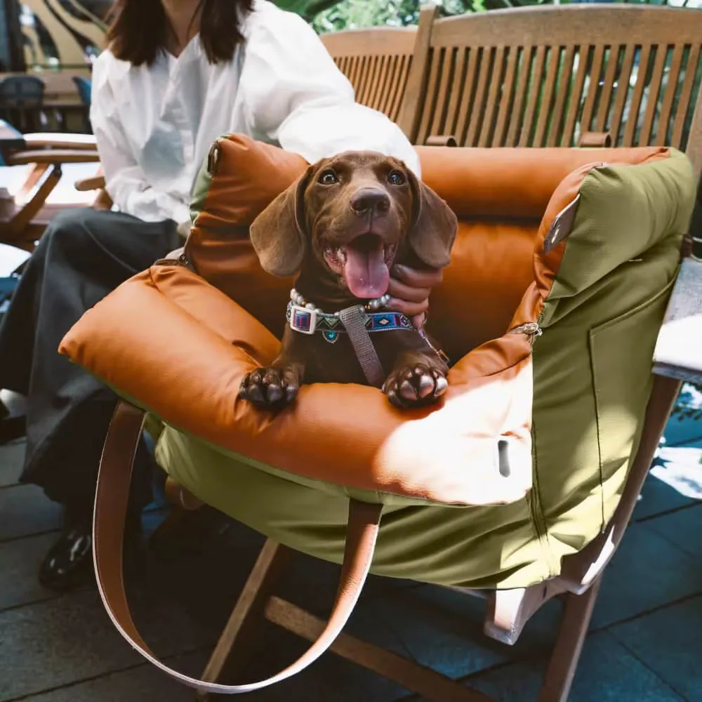 BRÉMIS Faux Leather Pet Travel Bed