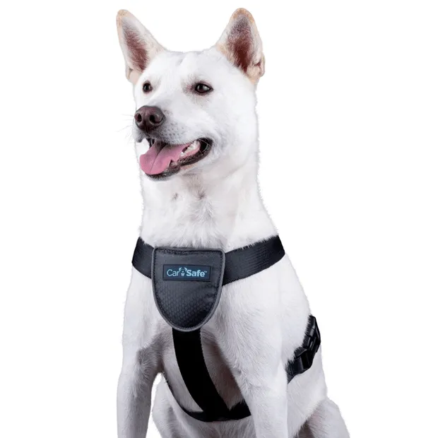COMPANY OF ANIMALS - Carsafe Dog Travel Harness Black