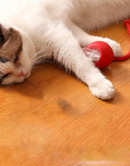 Dog Ball Toy Electric Fun Ball Toy for Cats Dogs