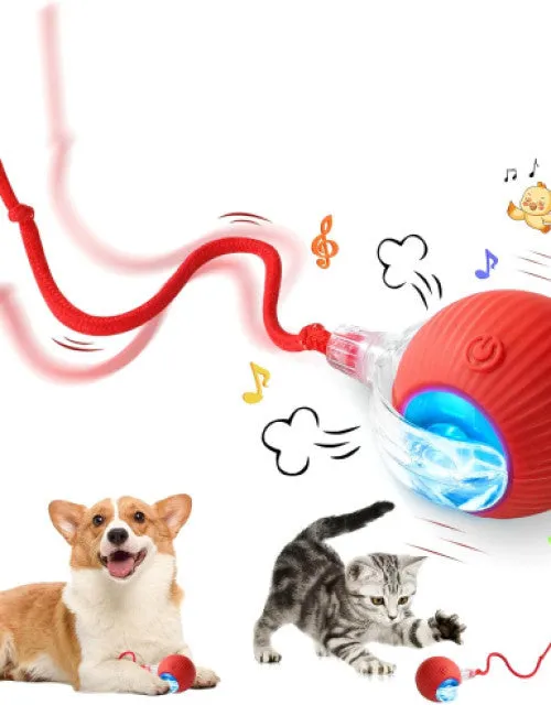 Dog Ball Toy Electric Fun Ball Toy for Cats Dogs