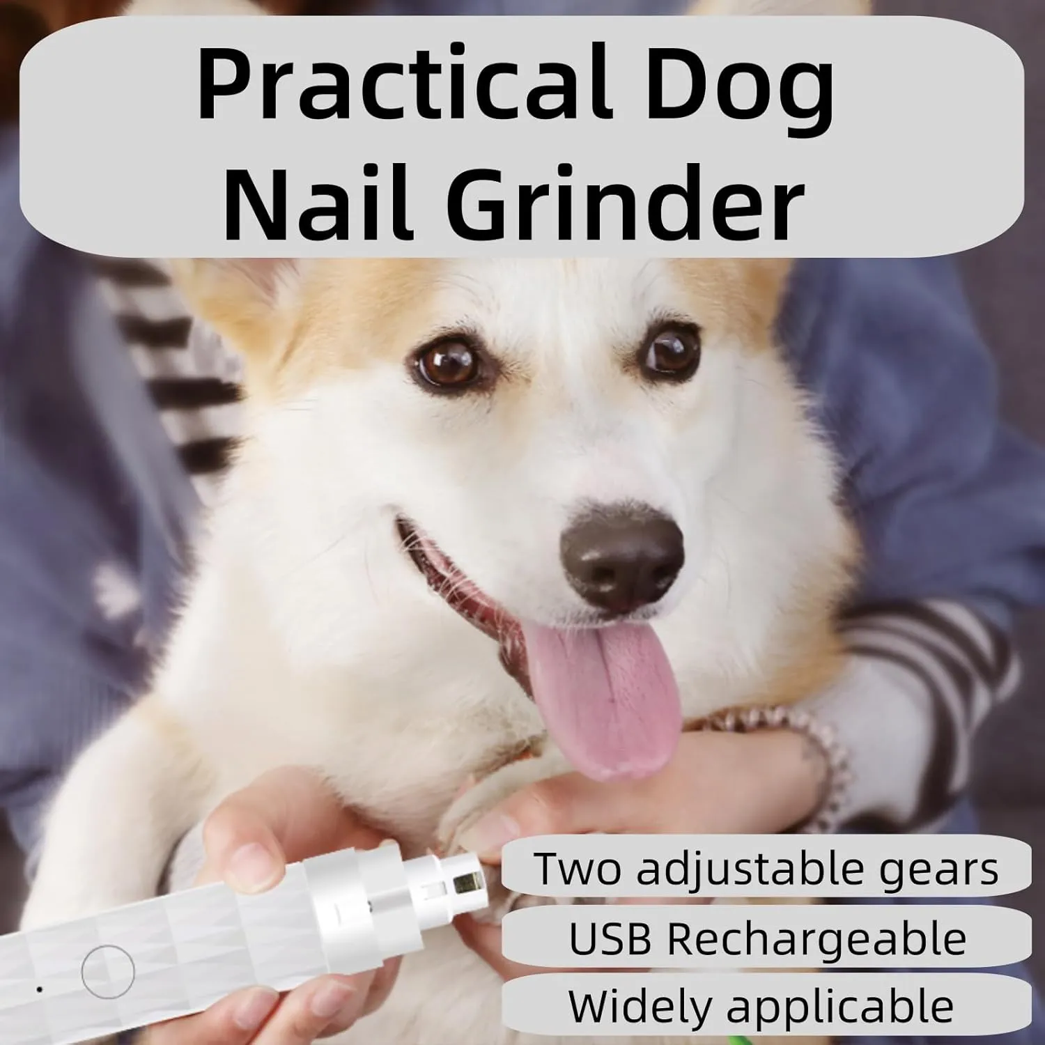 Dog Nail Grinder - USB Rechargeable - LED Light - Professional 2 Speed Electric Pet Nail Trimmer Painless Paws Grooming & Smoothing for Small Medium Large Dogs & Cats (White)