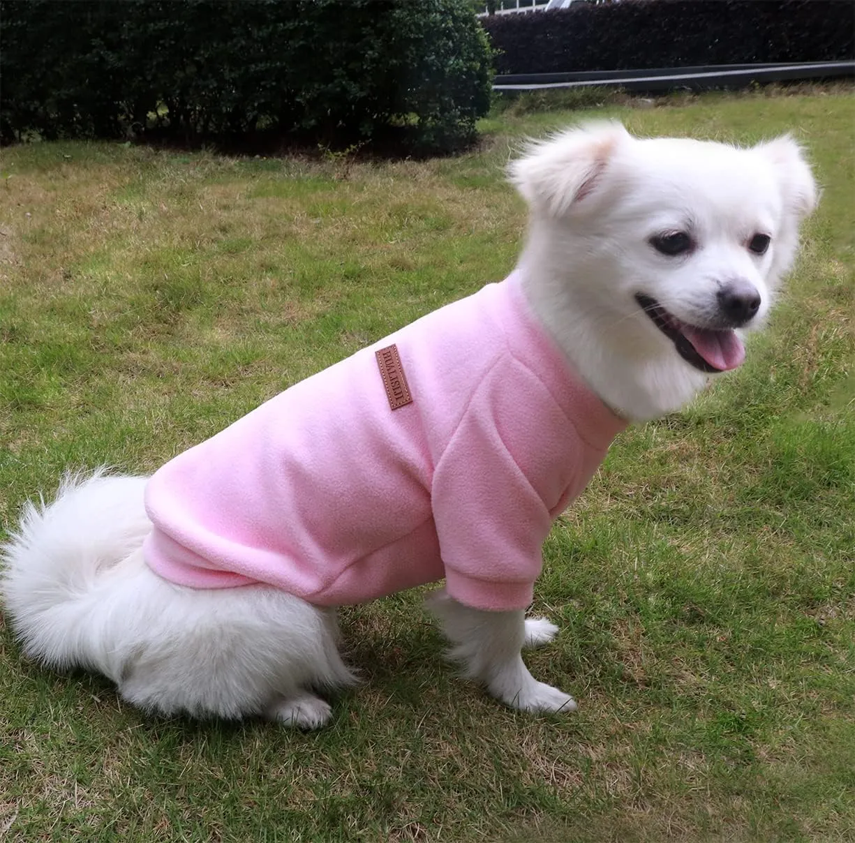 Dog Sweater - Warm & Lightweight Sweatshirts for Small Dogs, Soft Texture, Easy to Wear, Bright Colors (Pink, X-Small)