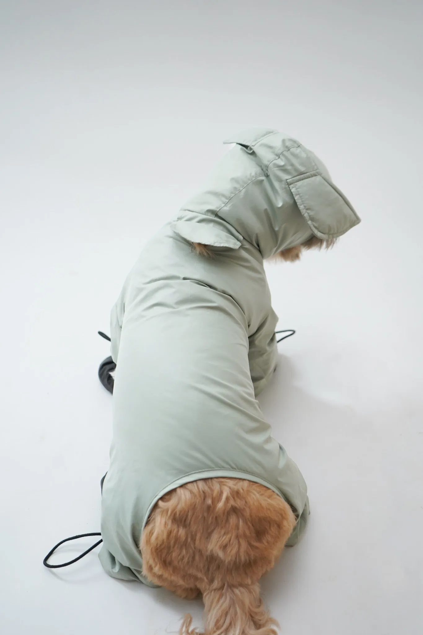 Foxy Full Coverage Raincoat (without paw covers)