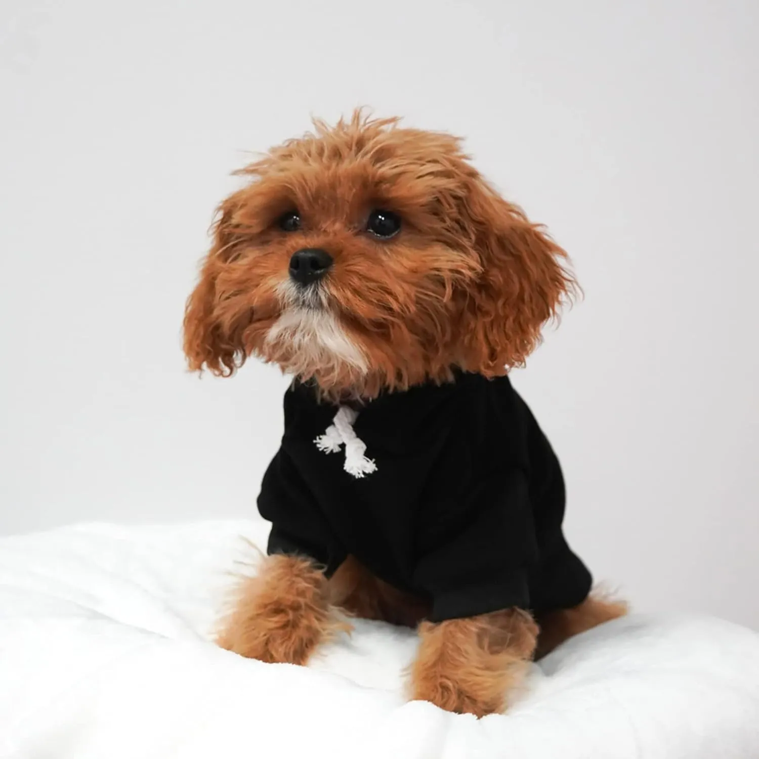 I Do Too Dog Hoodie Fleece Lined Pullover Sweatshirt with Leash Hole(Black, Large 112)