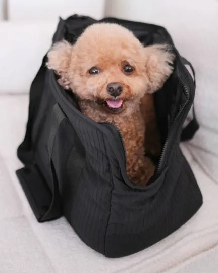 Jetsetter Black Carrier Bag