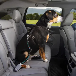 Kurgo Direct To Seatbelt Swivel Tether