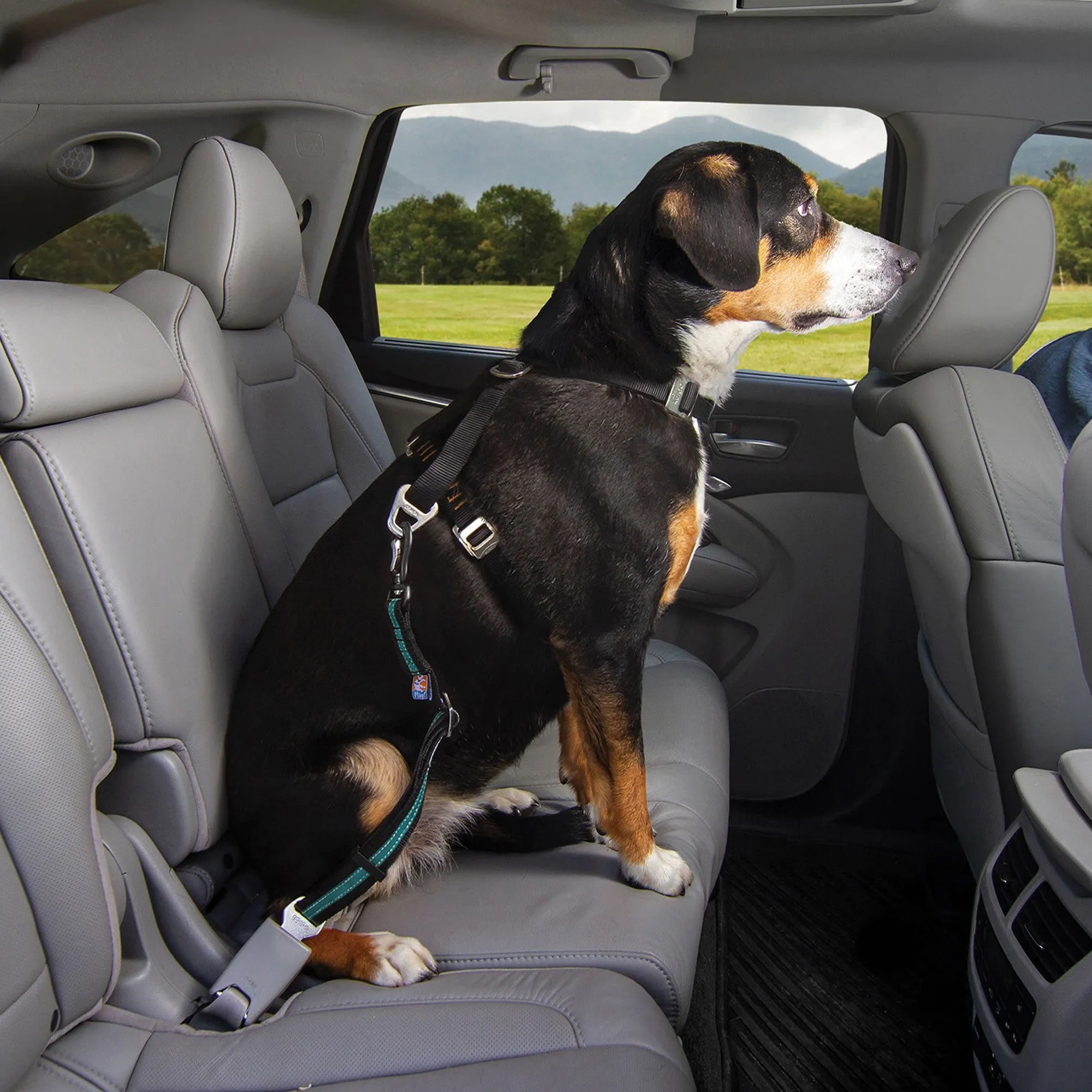 Kurgo Direct To Seatbelt Swivel Tether
