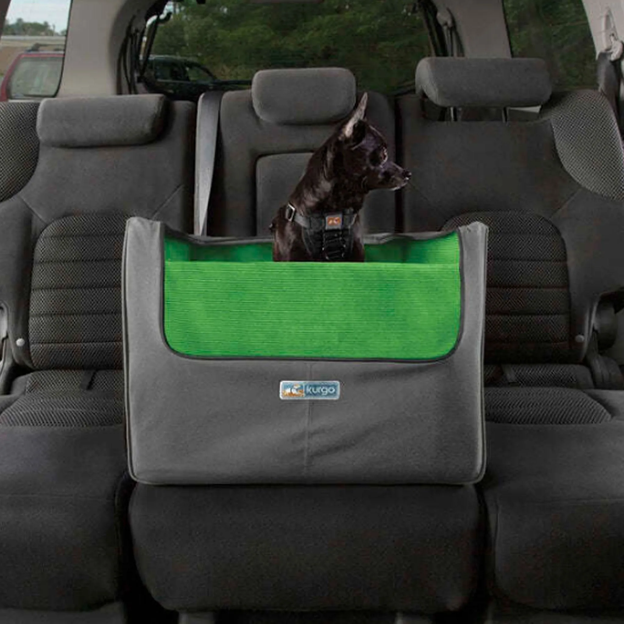 Kurgo Skybox Rear Booster Seat - Grey & Green