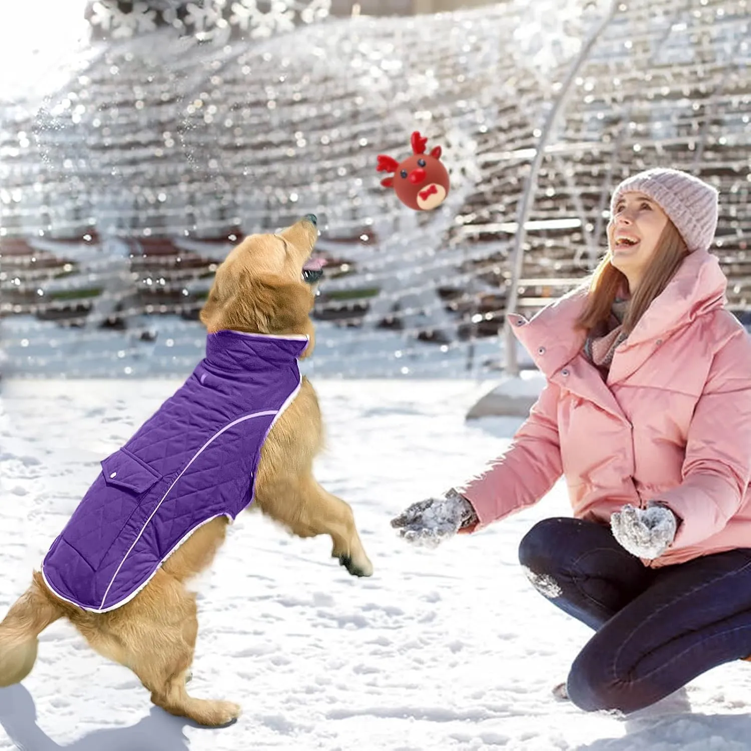 Malier Winter Coat, Windproof Cold Weather Coat with Real Pocket, Extra Warm Dog Fleece Jacket Reflective Clothes for Small to Large Dogs and Puppies (Purple, Large)