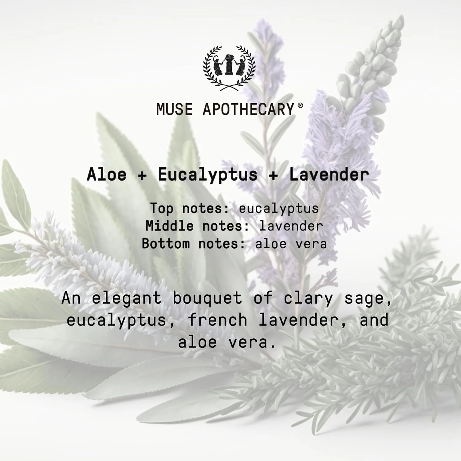 Muse Apothecary Room Ritual - Aromatic and Relaxing Room Mist, 4 oz, Infused with Natural Essential Oils - Aloe   Eucalyptus   Lavender