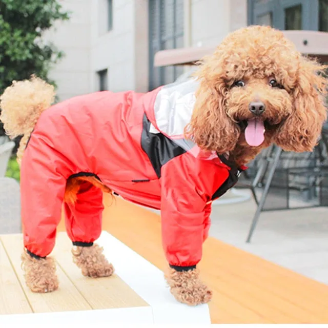 My Pet Raincoat