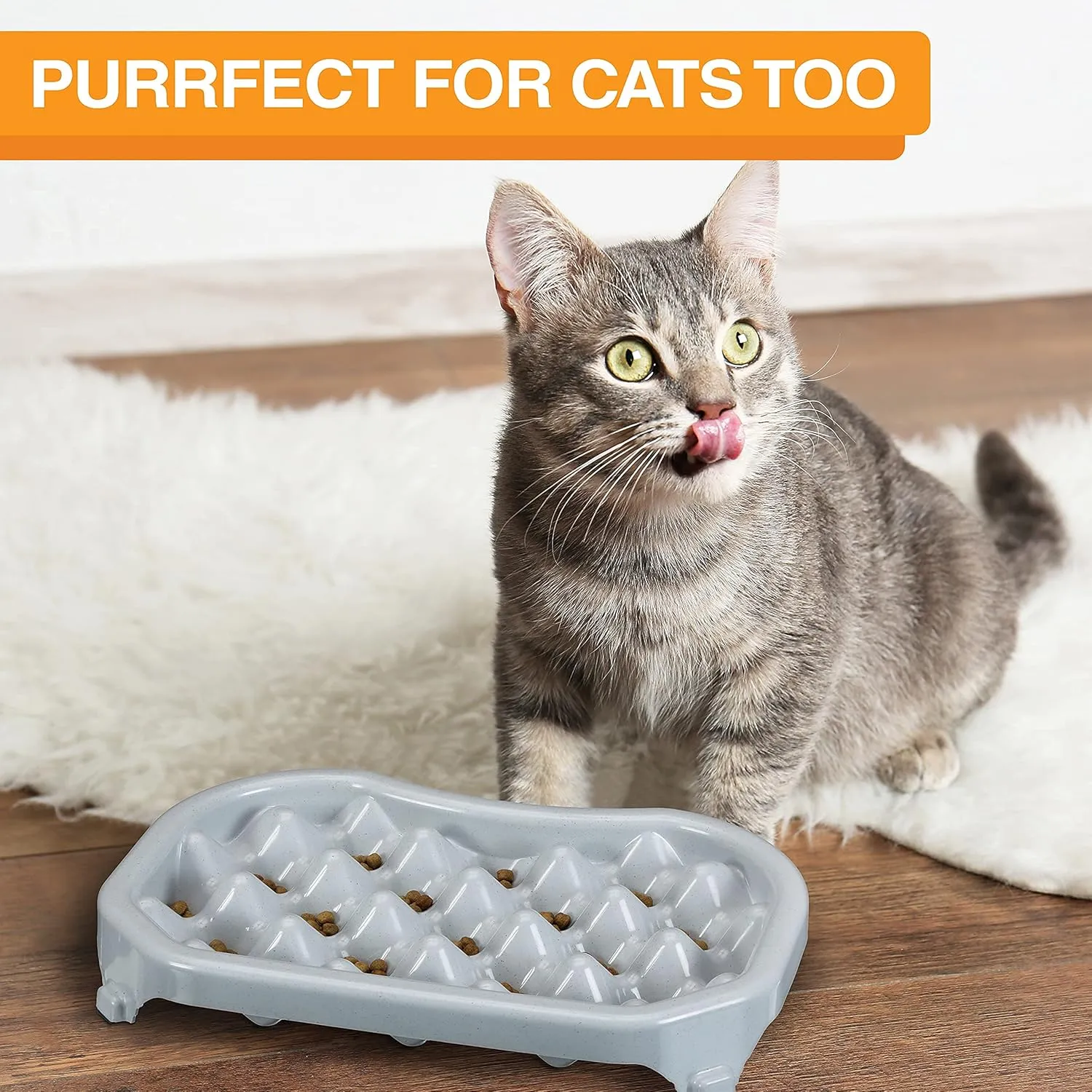 Neater Pet Brands - Neater Slow Feeder - Fun, Healthy, Stress Free Dog Bowl Helps Stop Bloat Prevents Obesity Improves Digestion (2.5 Cup, Vanilla Bean)