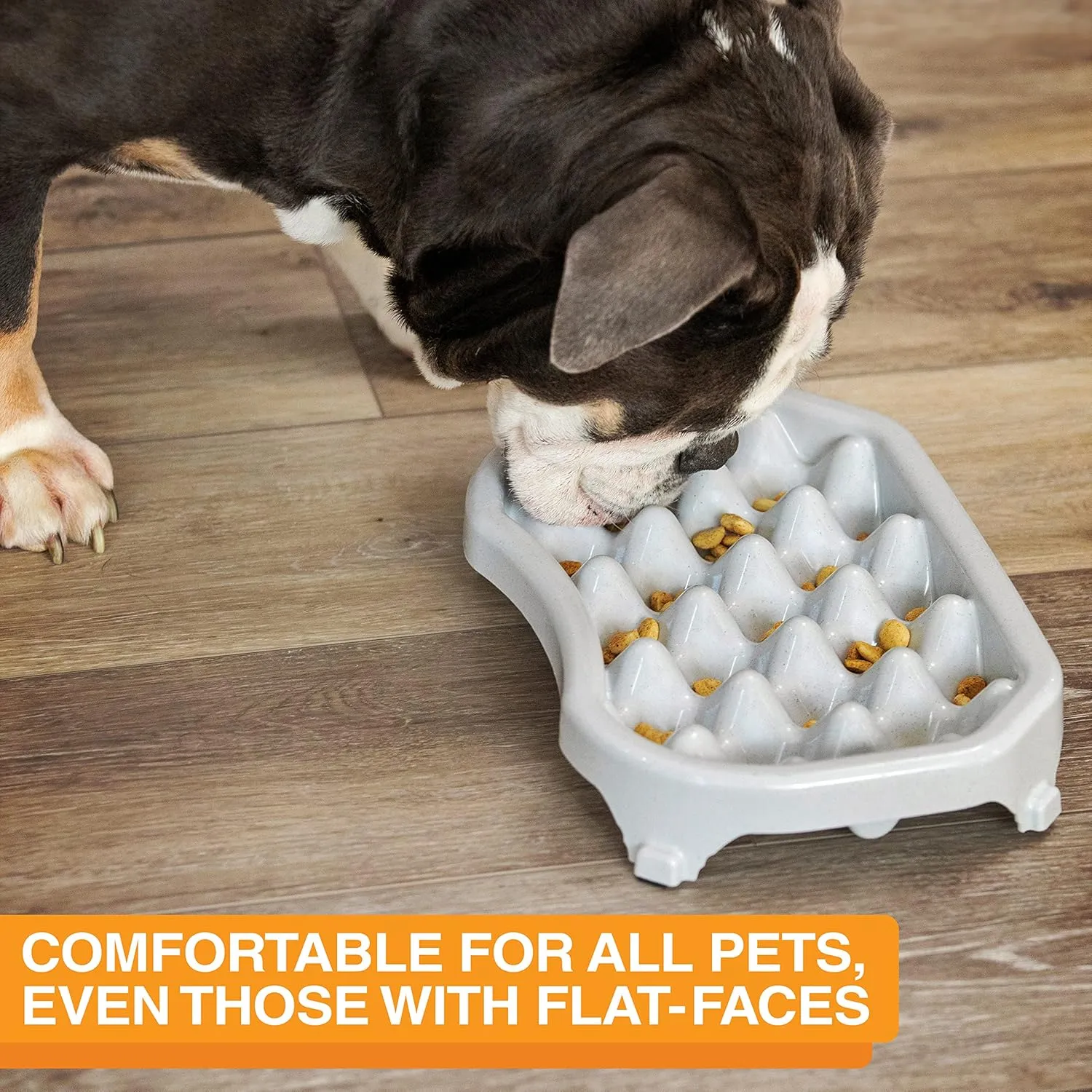 Neater Pet Brands - Neater Slow Feeder - Fun, Healthy, Stress Free Dog Bowl Helps Stop Bloat Prevents Obesity Improves Digestion (2.5 Cup, Vanilla Bean)