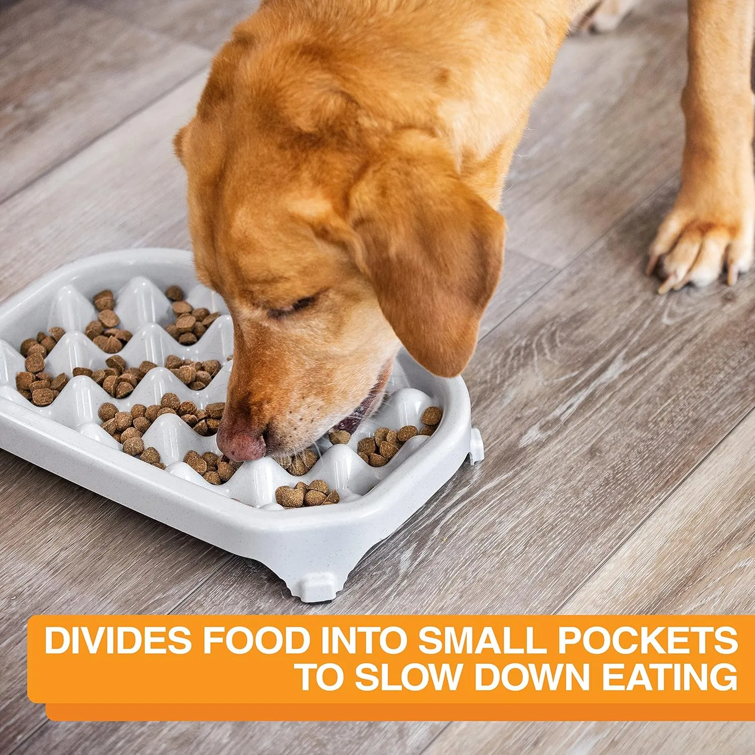 Neater Pet Brands - Neater Slow Feeder - Fun, Healthy, Stress Free Dog Bowl Helps Stop Bloat Prevents Obesity Improves Digestion (2.5 Cup, Vanilla Bean)
