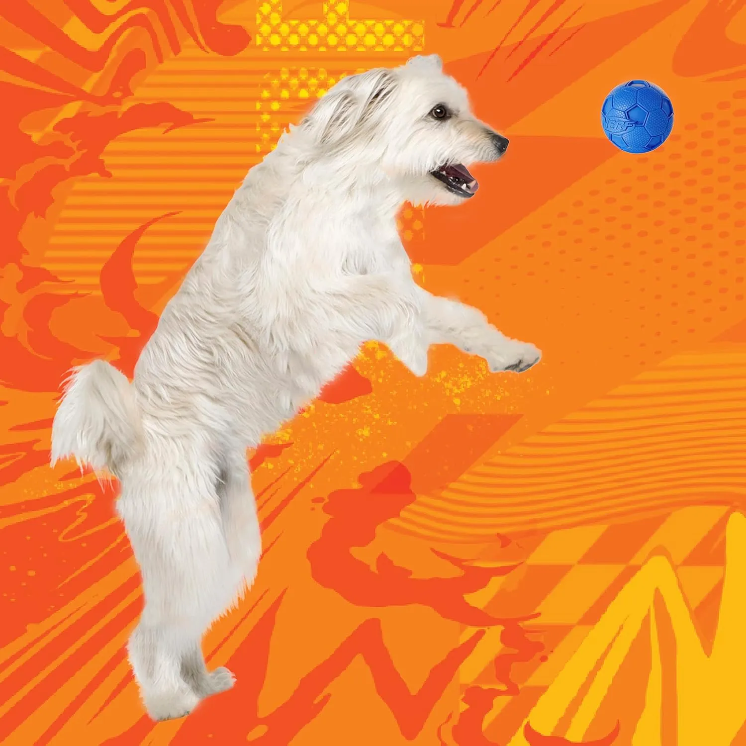 Nerf Dog Soccer Ball Dog Toy with Interactive Squeaker, Lightweight, Durable and Water Resistant, 2.5 Inches, For Medium/Large Breeds, Two Pack, Blue and Red