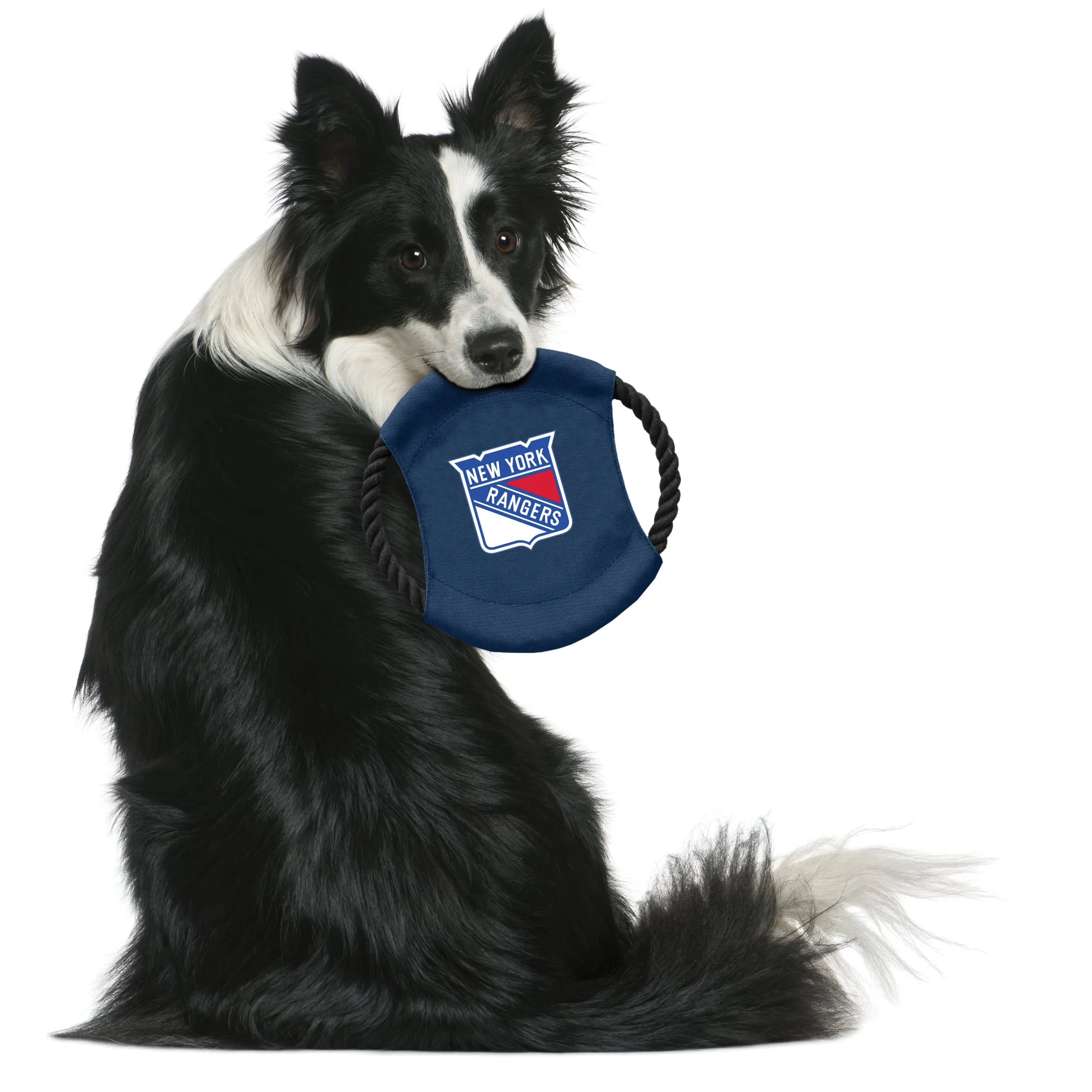New York Rangers Team Flying Disc Pet Toy