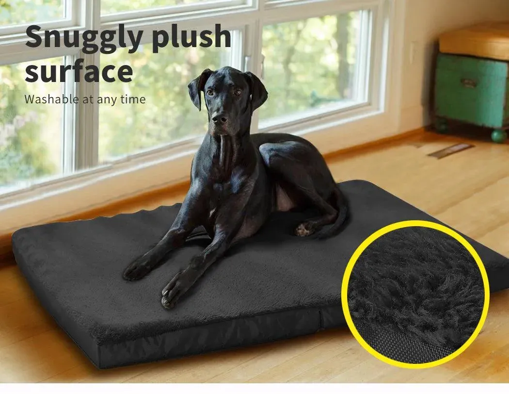 Pawz Foldable Travel Dog Beds