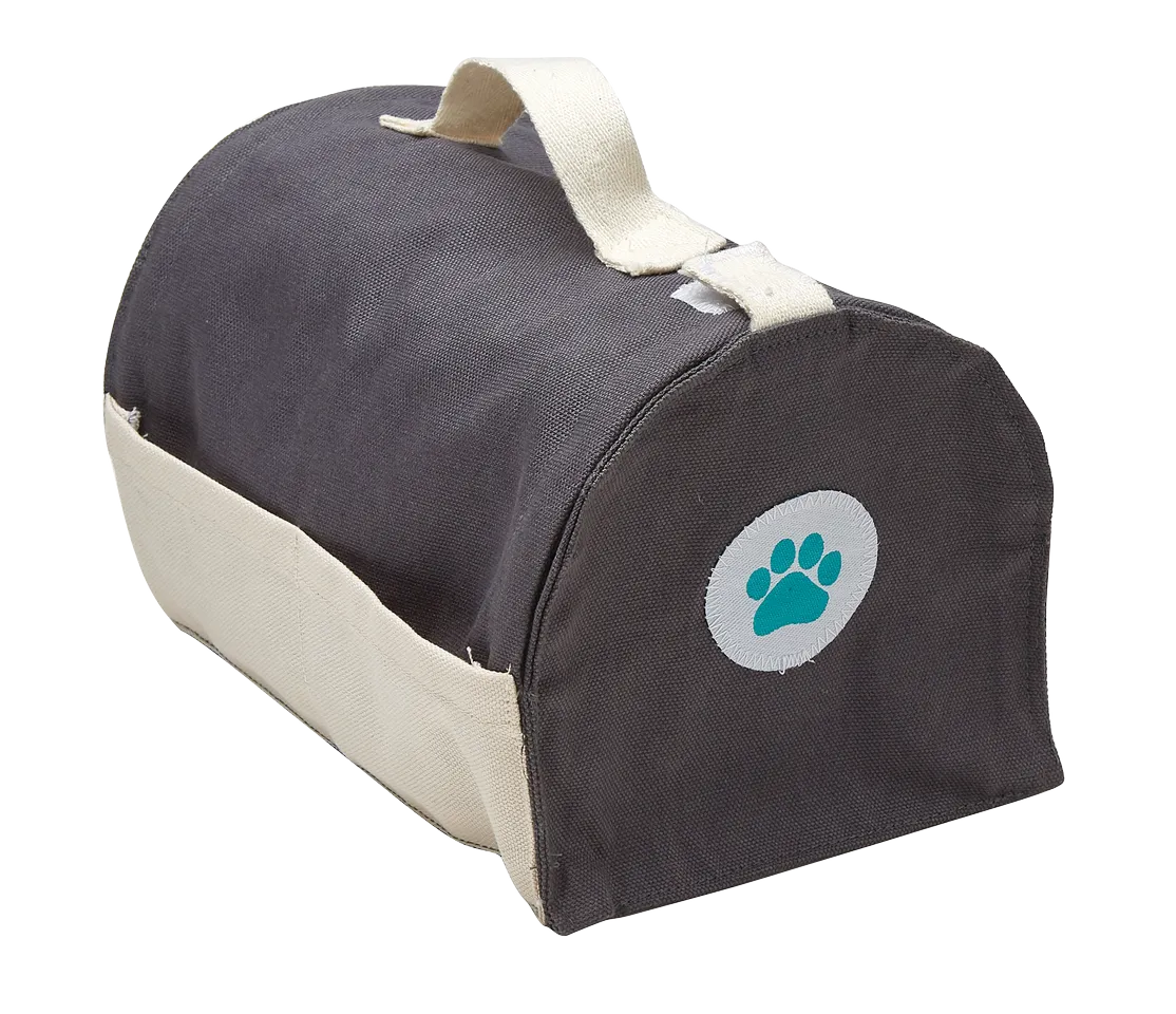 Pet Care Set by Plan toys