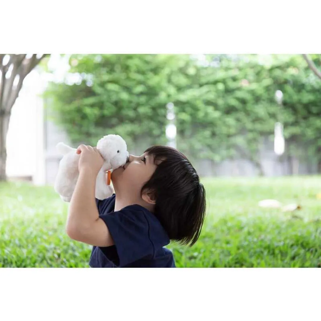 Pet Care Set Wooden Kids Toy