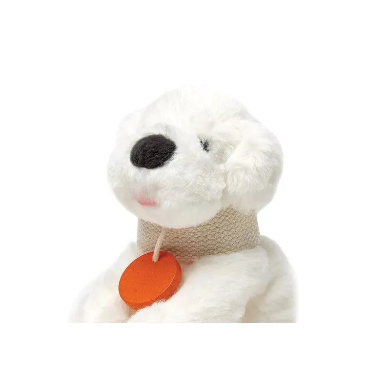 Pet Care Set