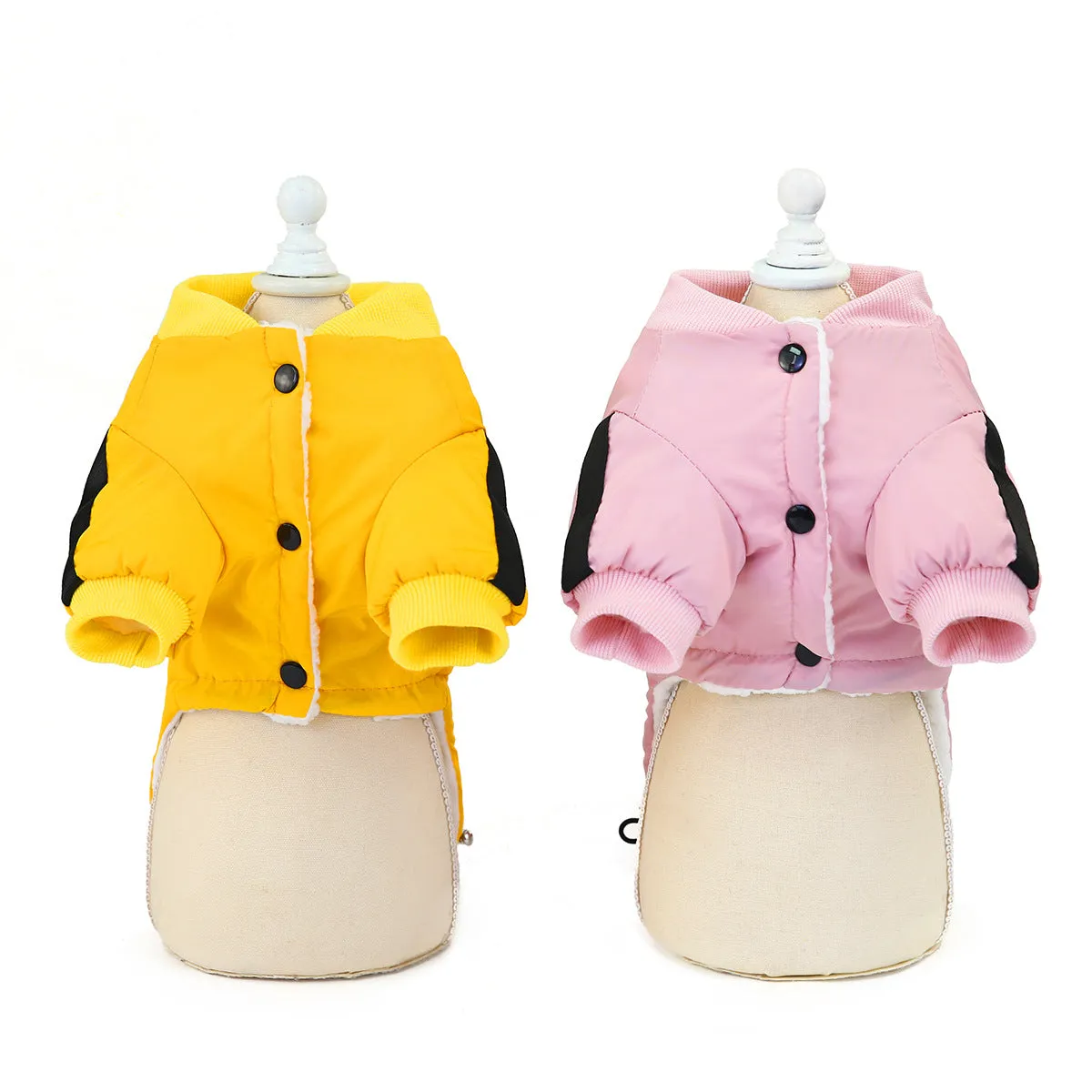 Pet / Dog Athletic Windbreaker