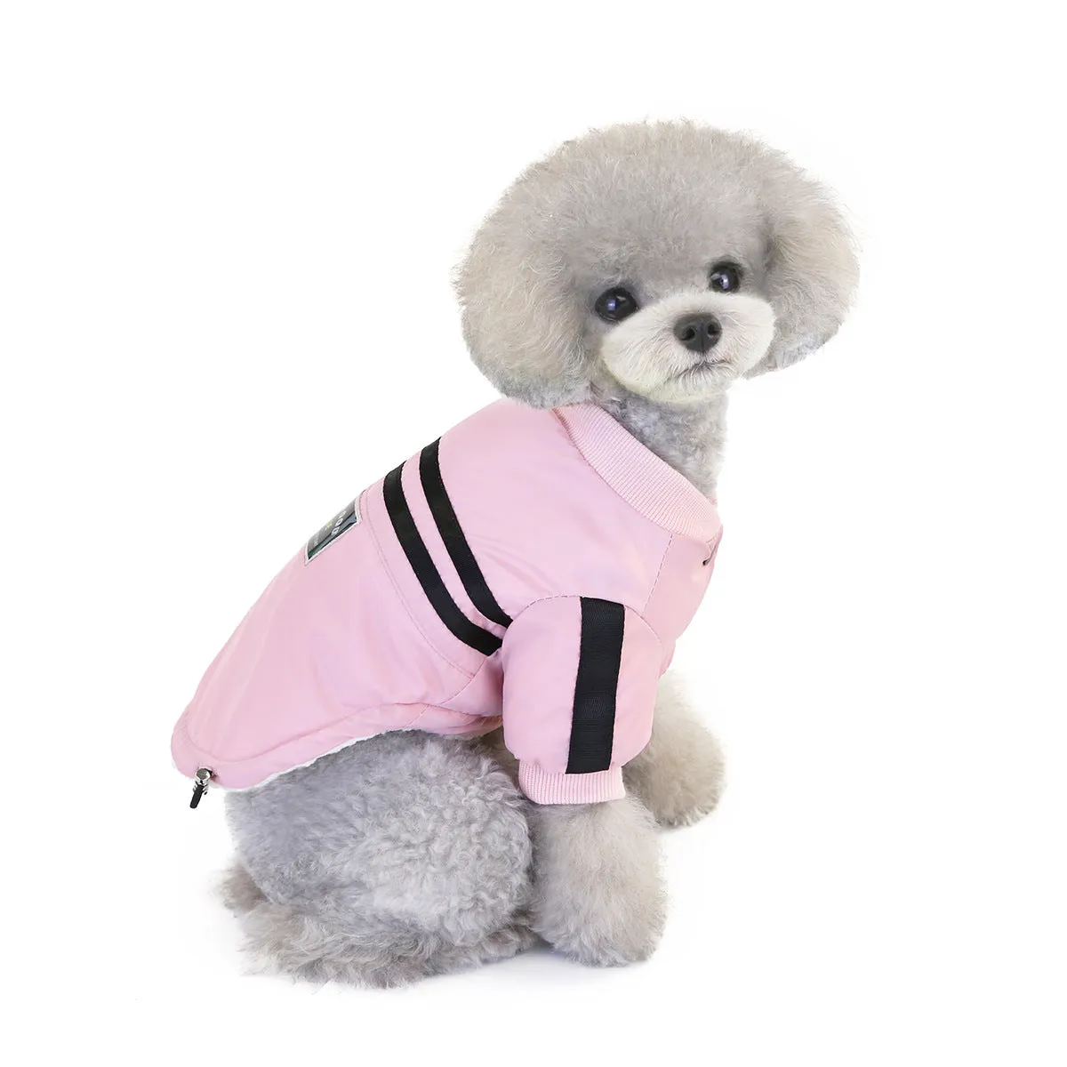 Pet / Dog Athletic Windbreaker