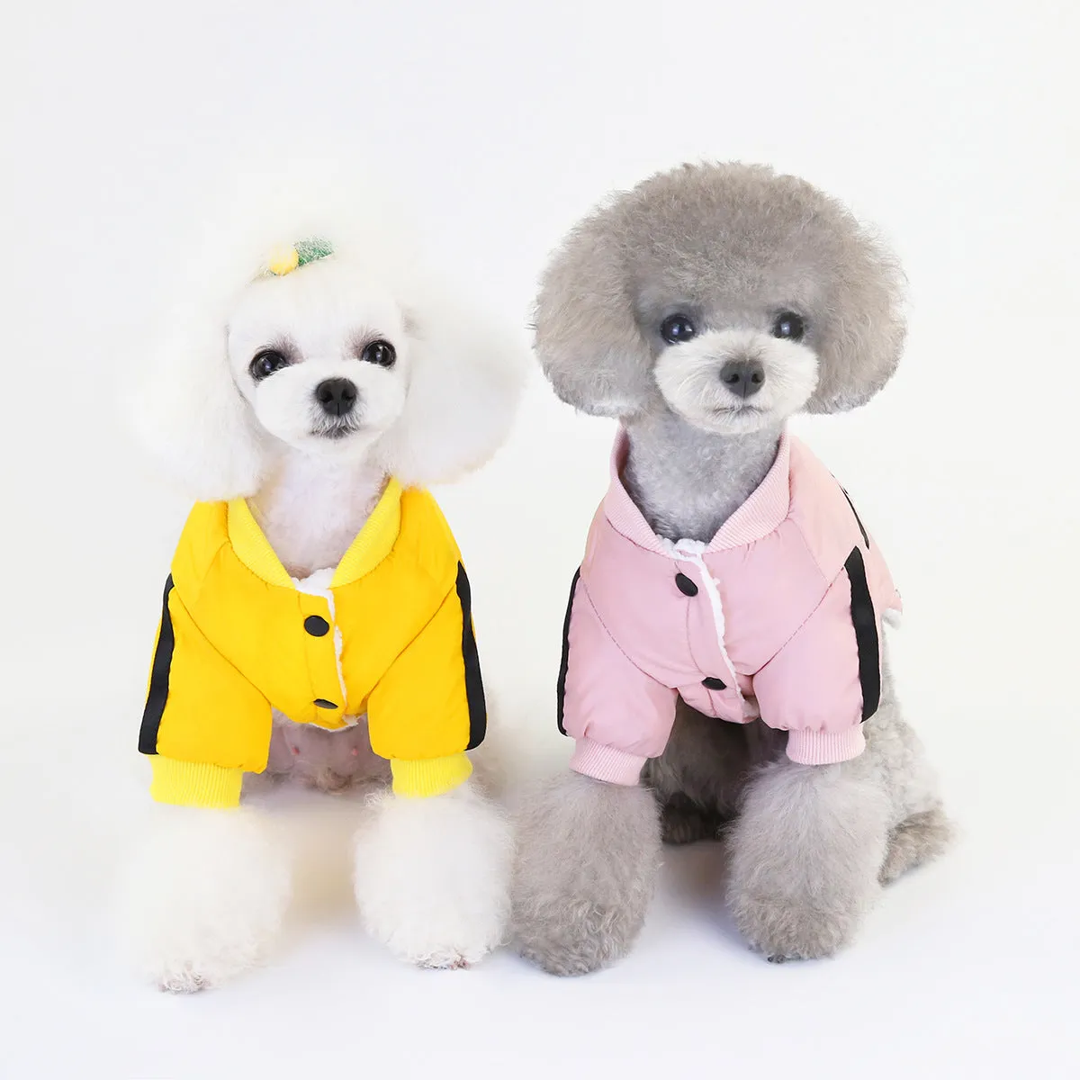 Pet / Dog Athletic Windbreaker