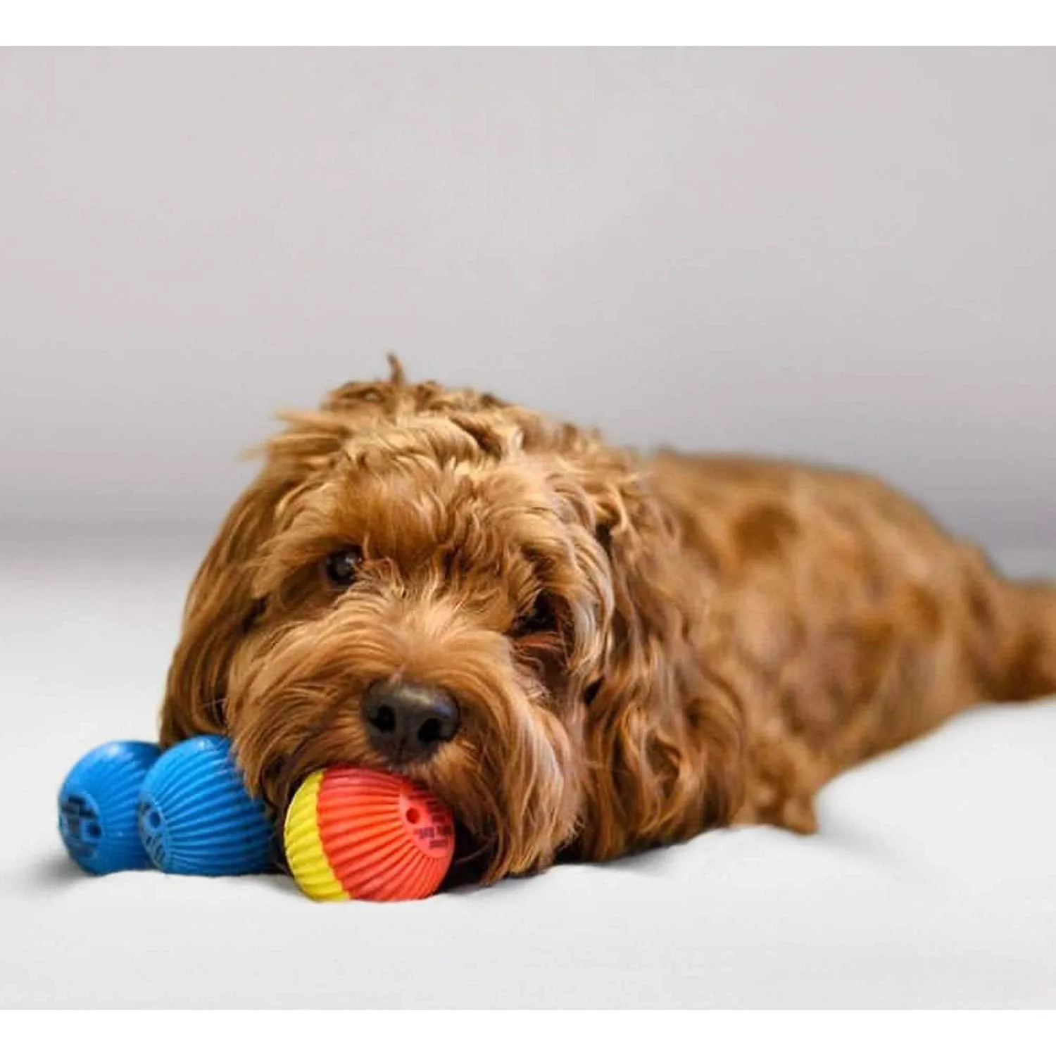 Pet Qwerks Talkin Babble Ball Dog Toy - Medium