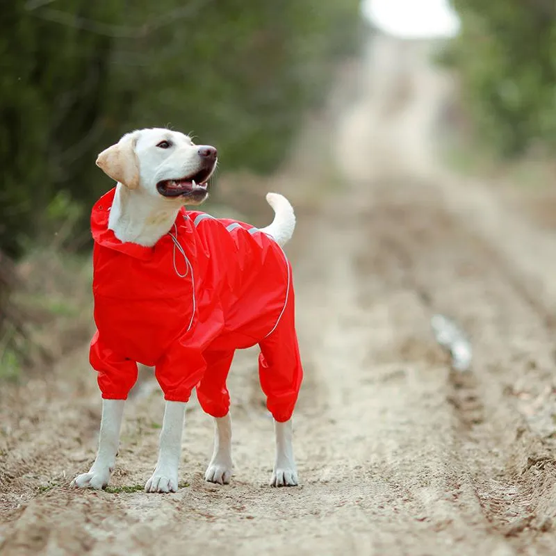 Premium Dog Raincoat Jacket