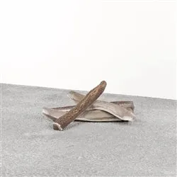 PRIMAL DOG STAG ANTLER LARGE