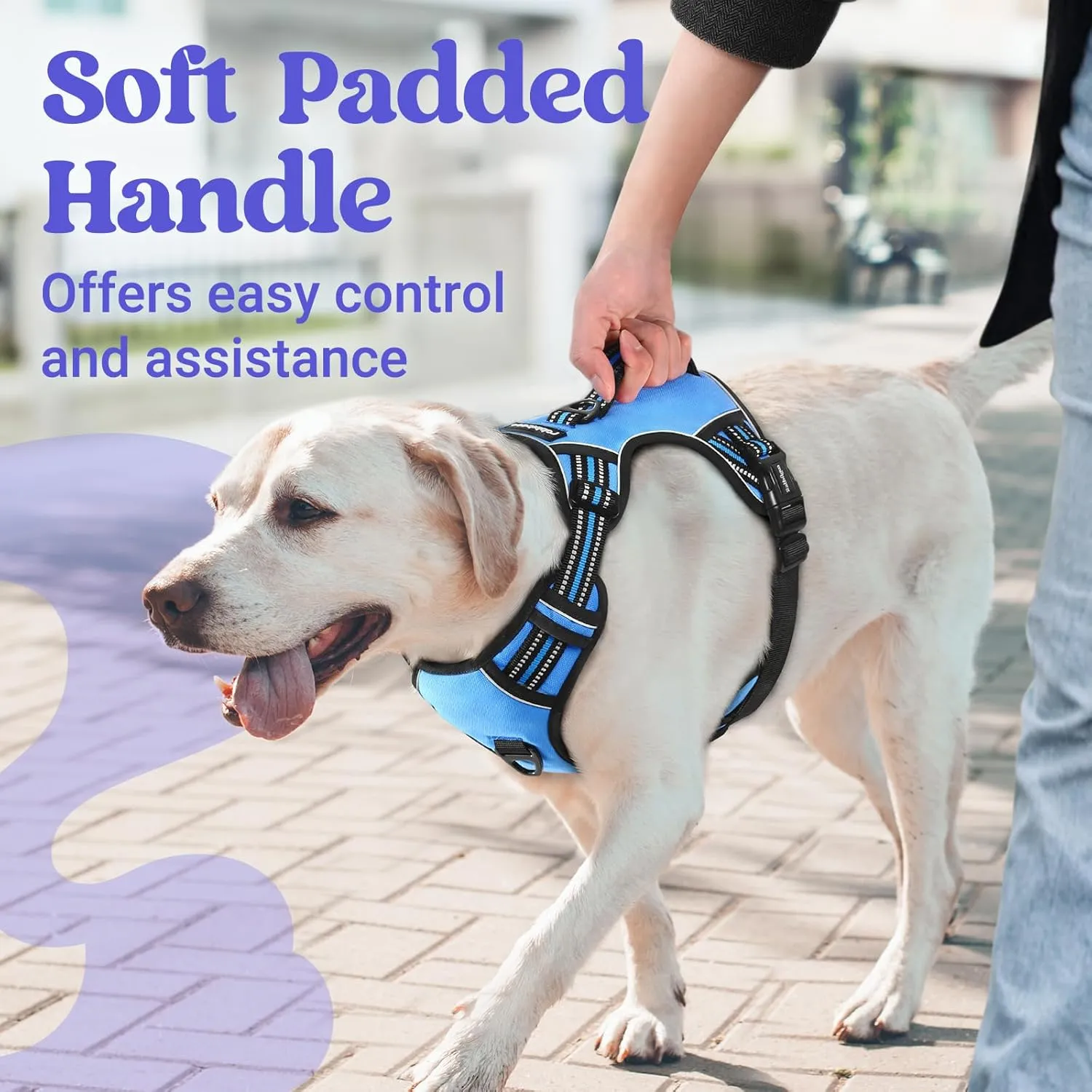 rabbitgoo Dog Harness for Large Dogs, No Pull Pet Harness with Soft Padded Handle, Adjustable Reflective Vest with 3 Buckles, Easy Walking Harness with 2 Leash Clips, Light Blue, L