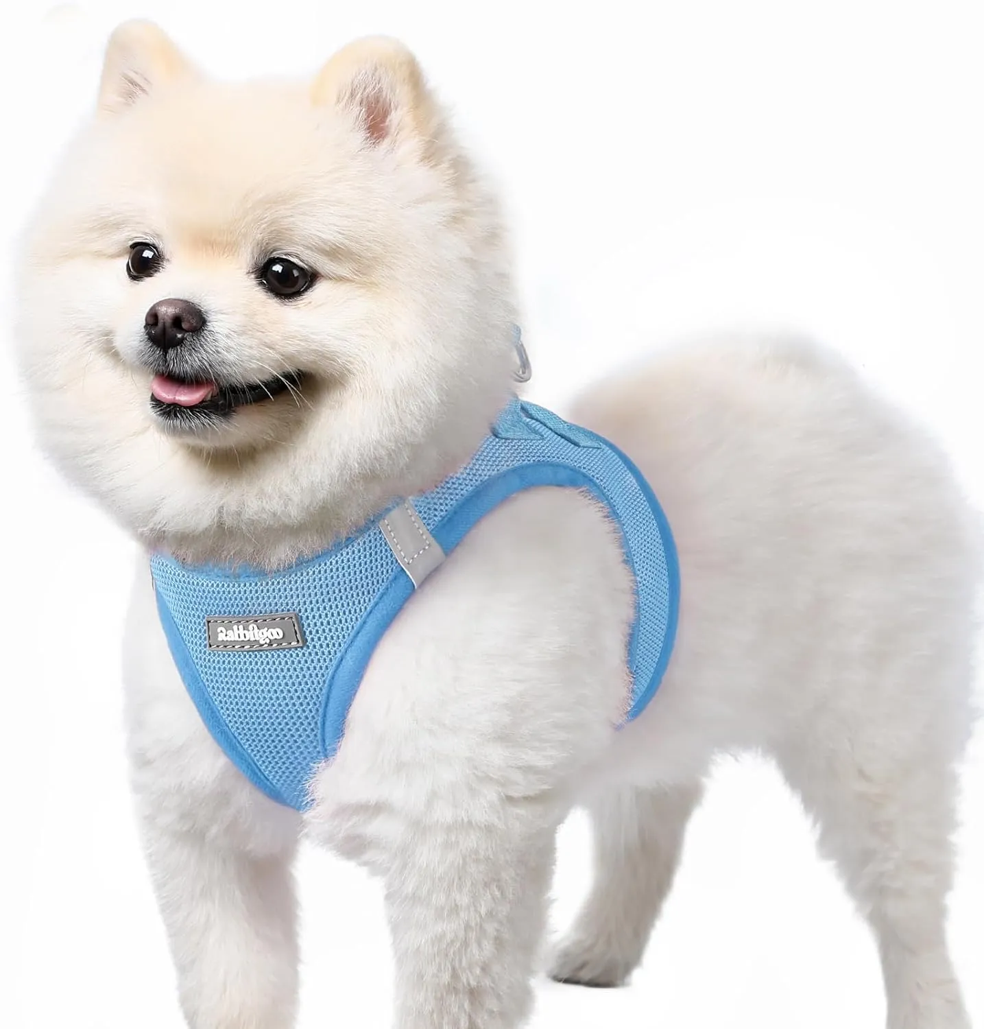 rabbitgoo Small Dog Harness, Step-in Soft Mesh Puppy Vest, Easy Walk with Safety Buckle, Breathable Reflective Pet Harness for Small Sized Dogs, Blue S