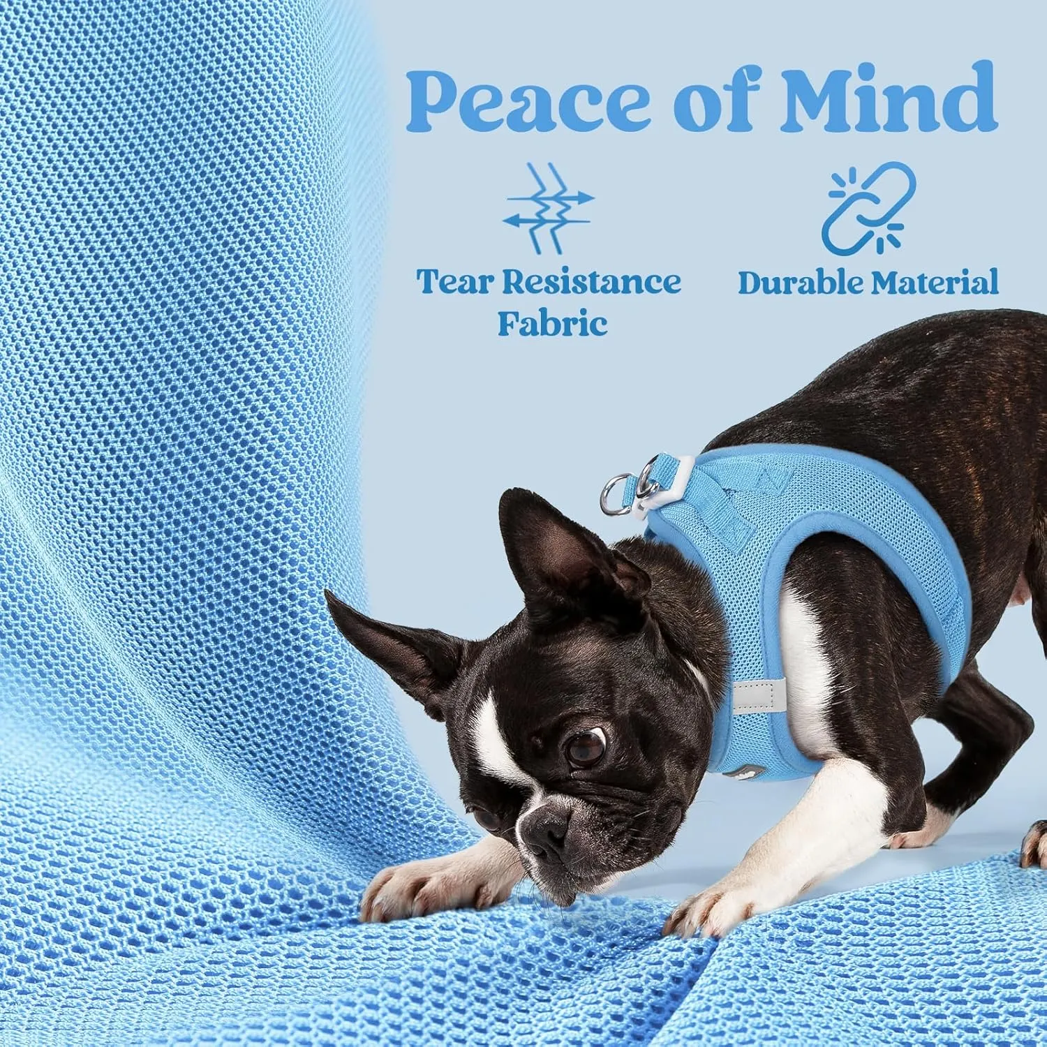 rabbitgoo Small Dog Harness, Step-in Soft Mesh Puppy Vest, Easy Walk with Safety Buckle, Breathable Reflective Pet Harness for Small Sized Dogs, Blue S