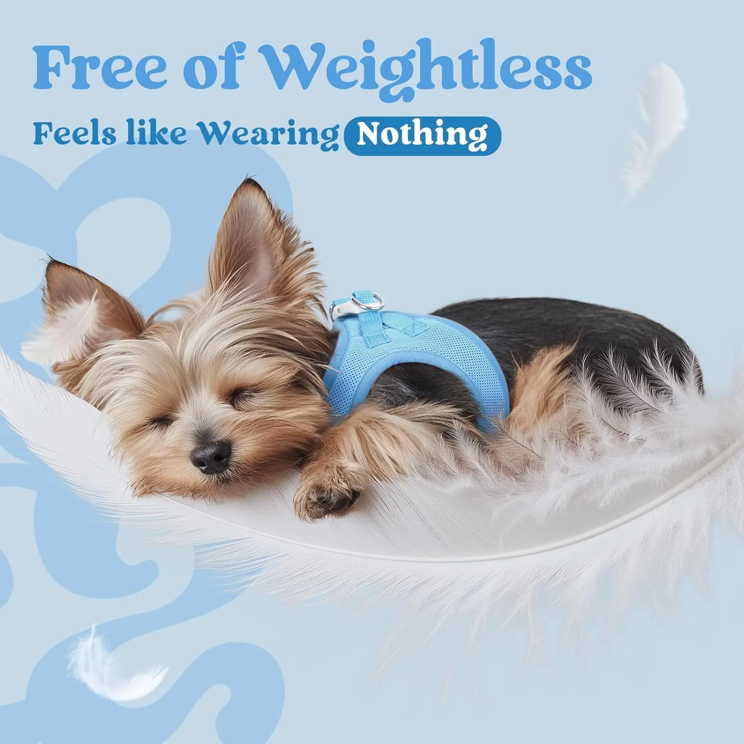 rabbitgoo Small Dog Harness, Step-in Soft Mesh Puppy Vest, Easy Walk with Safety Buckle, Breathable Reflective Pet Harness for Small Sized Dogs, Blue S