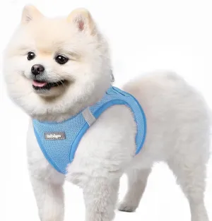 rabbitgoo Small Dog Harness, Step-in Soft Mesh Puppy Vest, Easy Walk with Safety Buckle, Breathable Reflective Pet Harness for Small Sized Dogs, Blue S