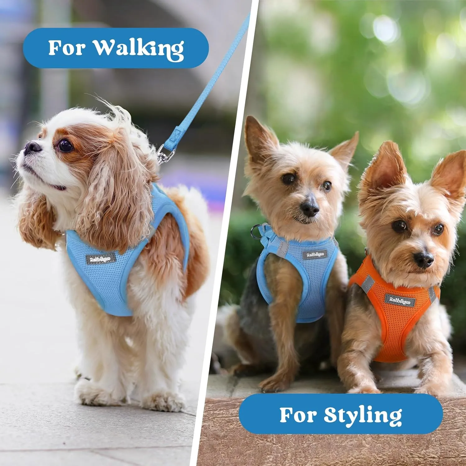 rabbitgoo Small Dog Harness, Step-in Soft Mesh Puppy Vest, Easy Walk with Safety Buckle, Breathable Reflective Pet Harness for Small Sized Dogs, Blue S