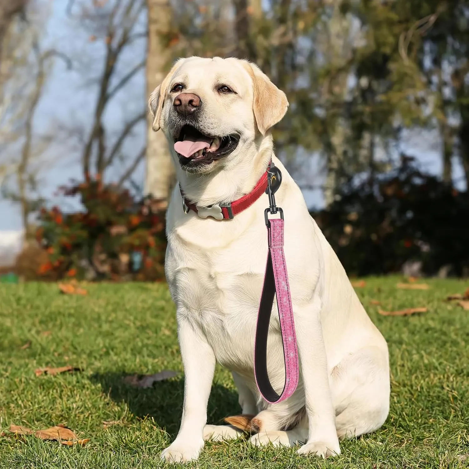 Reflective Nylon Padded Handle Short Dog Leash - for Large and Medium Dogs (Glitter)