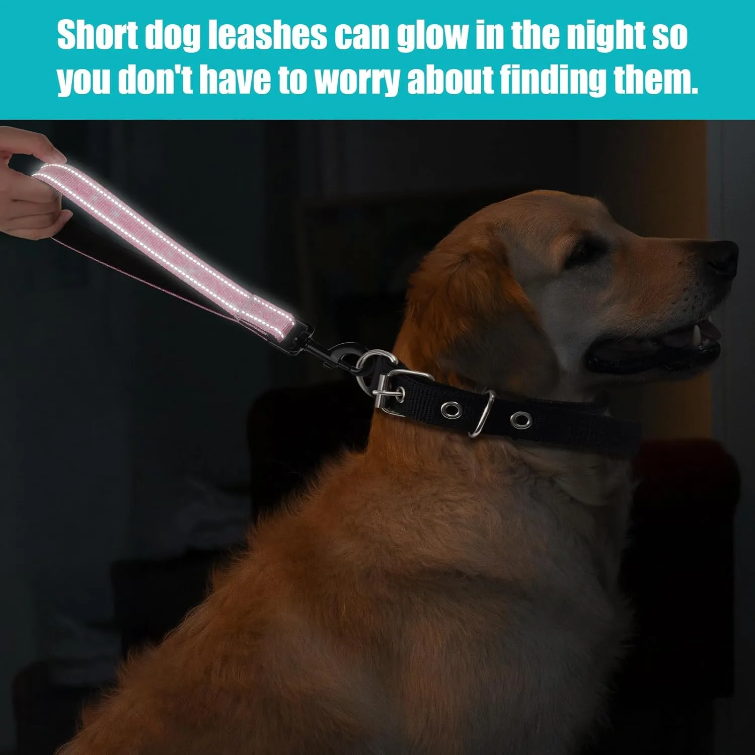Reflective Nylon Padded Handle Short Dog Leash - for Large and Medium Dogs (Glitter)