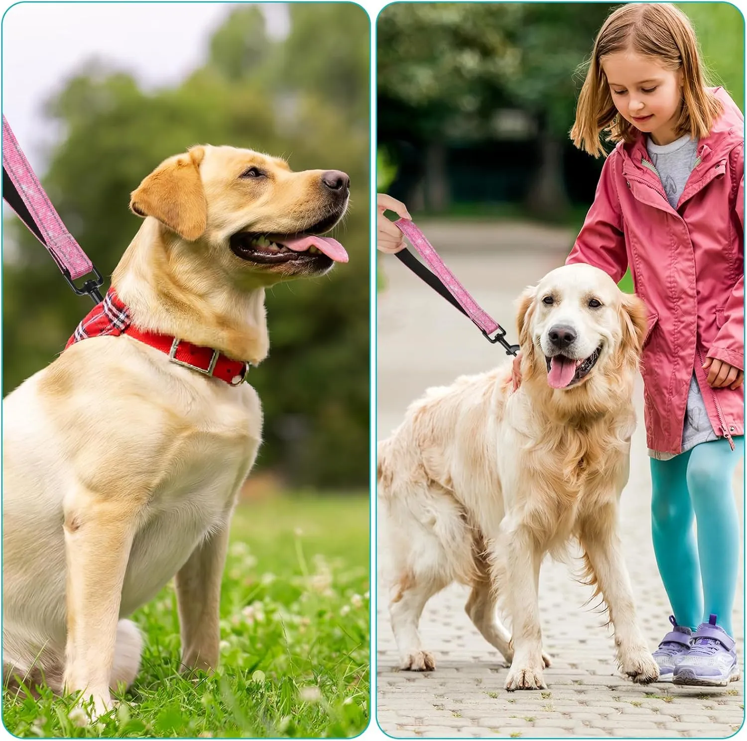 Reflective Nylon Padded Handle Short Dog Leash - for Large and Medium Dogs (Glitter)