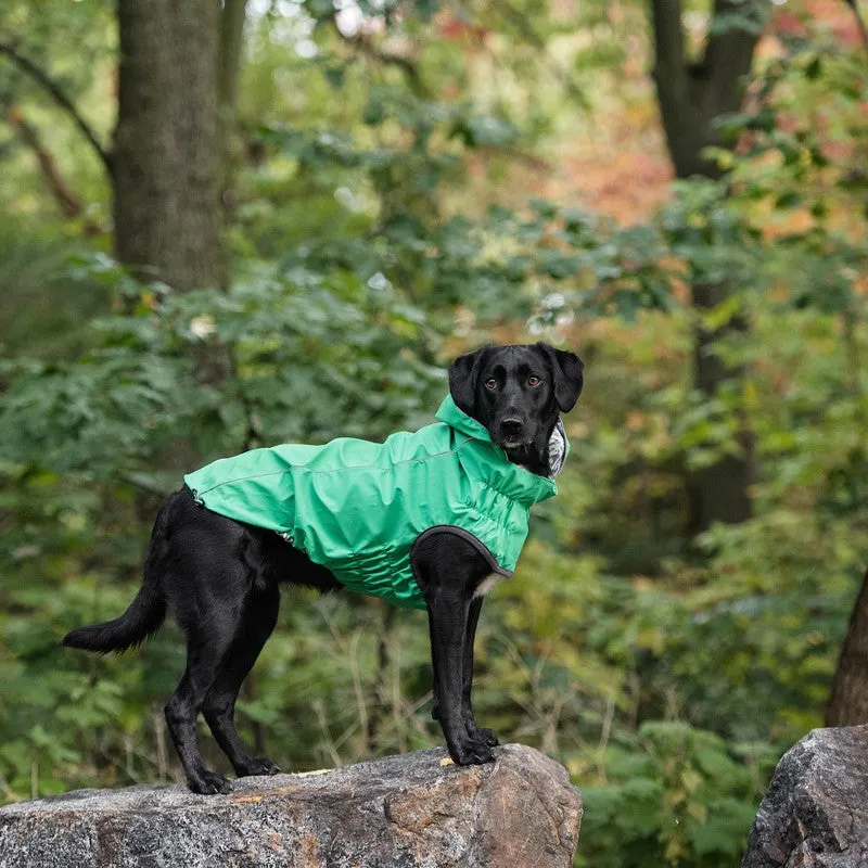 Reversible Elasto-Fit Green Raincoat for Stylish Dogs