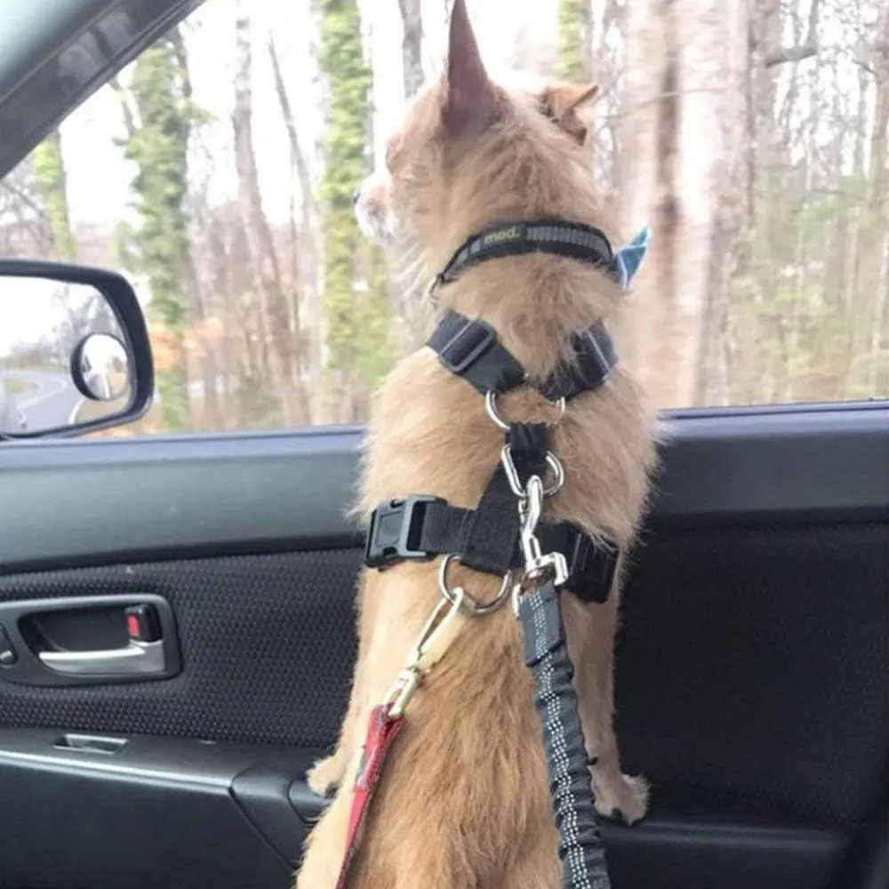 Safe & Secure Ride: Adjustable Dog Seatbelt with Reflective Rope